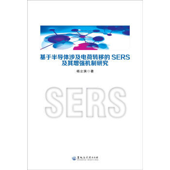 基于半导体涉及电荷转移的SERS及其增强机制研究 pdf epub mobi 电子书 下载