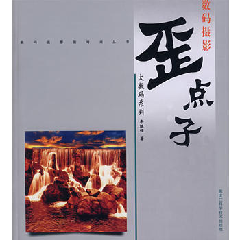 大数码系列——歪点子 李继强 9787538852608