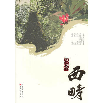 《文化文山 西畴》 pdf epub mobi 电子书 下载