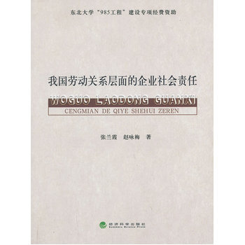 我国劳动关系层面的企业社会责任 pdf epub mobi 电子书 下载