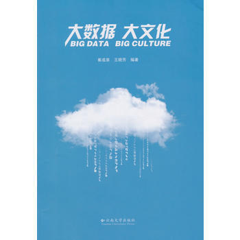 大数据大文化 pdf epub mobi 电子书 下载