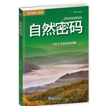 自然密码 王春洪著 pdf epub mobi 下载