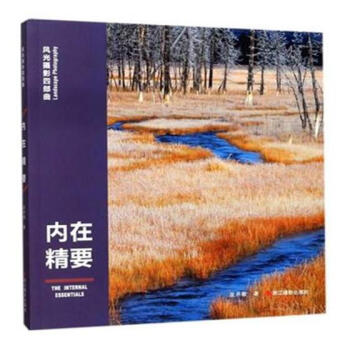 内在精要 摄影 书籍 pdf epub mobi 电子书 下载