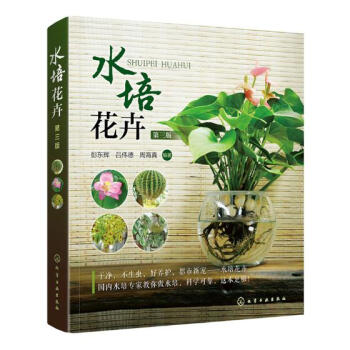 水培花卉
