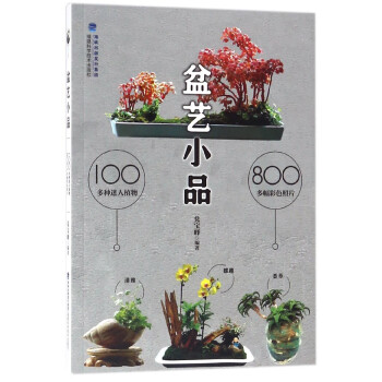 盆艺小品