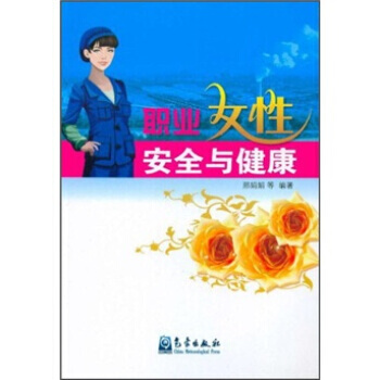 職業女性安全與健康 pdf epub mobi 下载