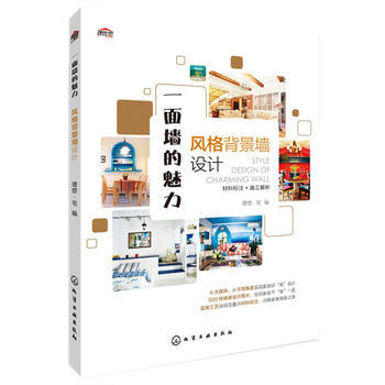一面墙的魅力 风格背景墙设计