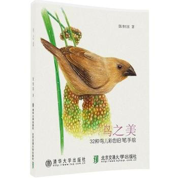 鸟之美