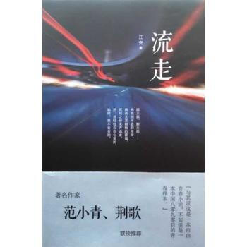 流走 pdf epub mobi 下载