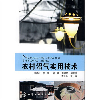 农村沼气实用技术 pdf epub mobi 电子书 下载