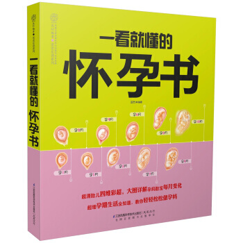 一看就懂的懷孕書 pdf epub mobi 下载