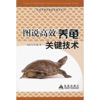 图说高效养龟关键技术 pdf epub mobi 电子书 下载