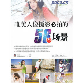 VIP唯美人像摄影必拍的56个场景(全彩) pdf epub mobi 电子书 下载