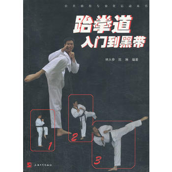 跆拳道入门到黑带 pdf epub mobi 电子书 下载