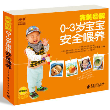 完美图解0～3岁宝宝安全喂养(全彩) pdf epub mobi 下载