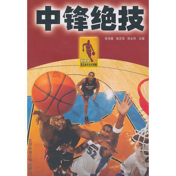 NBA高手技术精解 pdf epub mobi 电子书 下载