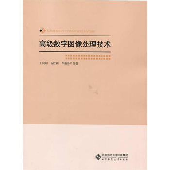 高级数字图像处理技术 pdf epub mobi 下载