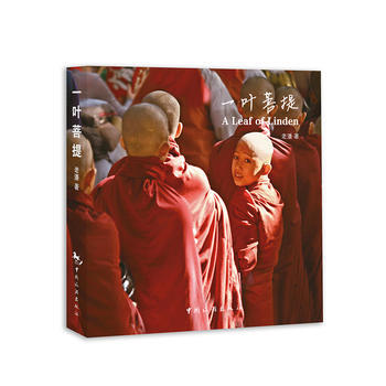 一叶菩提 中国旅游出版社 pdf epub mobi 下载