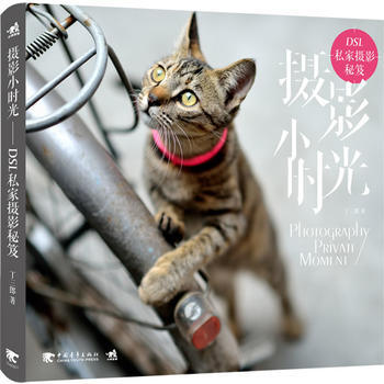 正版 攝影小時光—DSL私傢攝影秘笈 丁三郎著 9787515312262