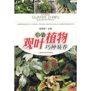 流行观叶植物巧种易养
