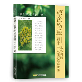 {RT}一本书明白油菜大豆花生芝麻病虫害-董伟 郭书普 安徽科学技术出版社 978753
