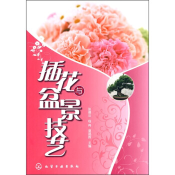 插花与盆景技艺 pdf epub mobi 下载