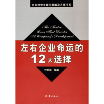 左右企業命運的12大選擇 pdf epub mobi 下载