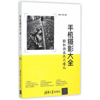 手機攝影大全——輕鬆拍齣大片味兒 pdf epub mobi 下载