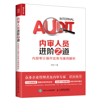 内审人员进阶之道内部审计操作实务与案例解析 企业财务会计管理书 内控风控审计书籍 企业内部审计教程书 pdf epub mobi 下载