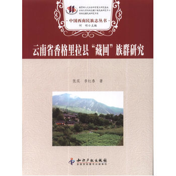云南省香格里拉县“藏回”族群研究 pdf epub mobi 电子书 下载