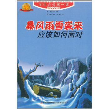 暴风雨雪袭来应该如何面对 pdf epub mobi 下载
