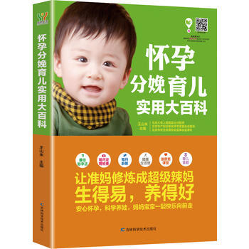 怀孕分娩育儿实用大百科 pdf epub mobi 电子书 下载