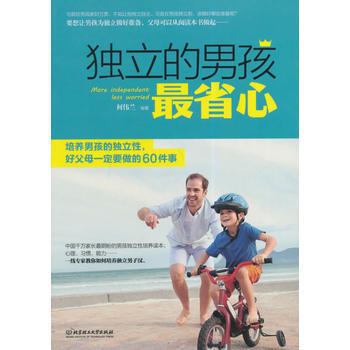 正版书籍 独立的男孩省心