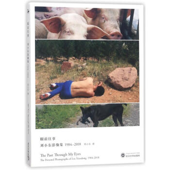 眼前往事:刘小东影像集(1984-2018) pdf epub mobi 电子书 下载