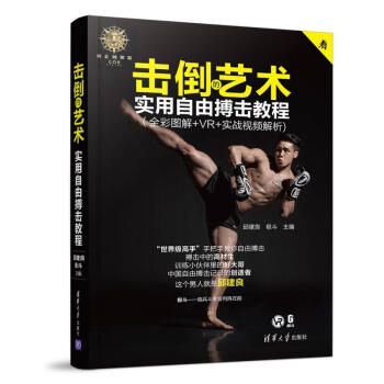 正版 击倒艺术 外语 英语工具书 行业词典 技术实战详细解析 体育运动 自由搏击 实用全