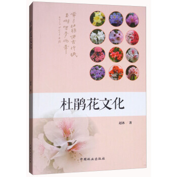 杜鹃花文化 9787503893452 赵冰-RT