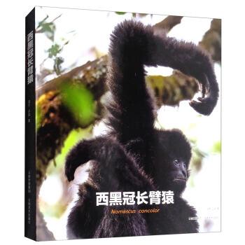 {RT}西黑冠长臂猿-润宁,山岚 云南美术出版社 9787548927839 pdf epub mobi 电子书 下载