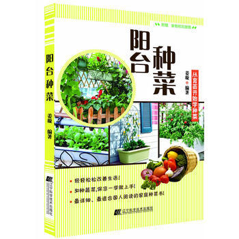 {RT}阳台种菜-姜璇著 辽宁科学技术出版社 9787538183658