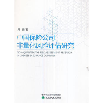 中国保险公司非量化风险评估研究 pdf epub mobi 下载