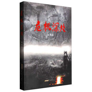 危机深处 pdf epub mobi 下载