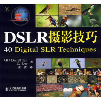 正版刚数码影像易学堂：DSLR 摄影技巧9787115155900[新加坡] 谭,[新加坡 pdf epub mobi 下载