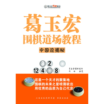葛玉宏围棋道场教程：中国流揭秘 体育/运动 书籍 pdf epub mobi 下载