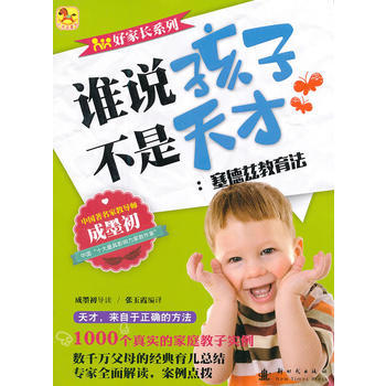 (小木马童书)谁说孩子不是天才 塞德兹教育法 pdf epub mobi 下载