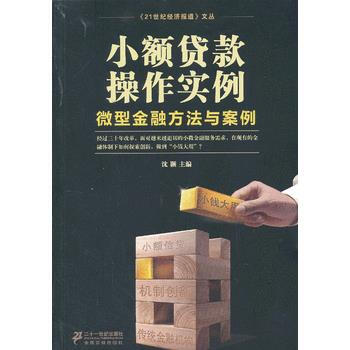 小额贷款操作实例:微型金融方法与案例 9787539189581 pdf epub mobi 下载