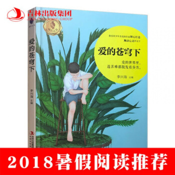 2018暑假读物 爱的苍穹下 李兴海SJ pdf epub mobi 电子书 下载