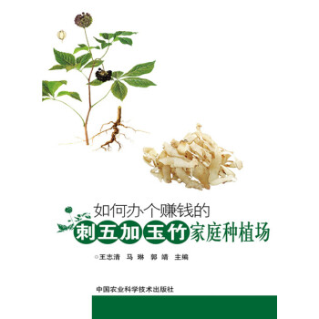 如何办个赚钱的刺五加 玉竹家庭种植场 9787511606167 pdf epub mobi 电子书 下载