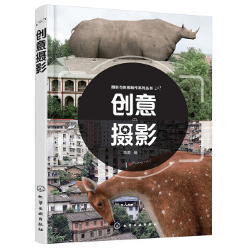创意摄影 摄影 书籍 pdf epub mobi 下载