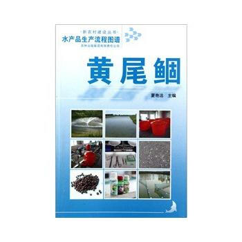 水産品生産流程圖譜 黃尾鯝