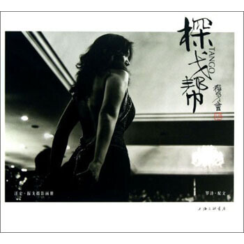汪宏探戈摄影画册：探戈帮 pdf epub mobi 下载