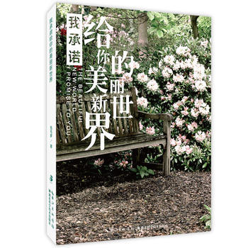 正版 我承诺给你的美丽新世界 兔毛爹 9787535285836 pdf epub mobi 下载